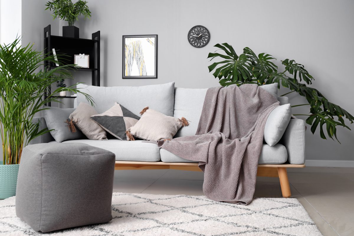 Green tropical plants in interior of room